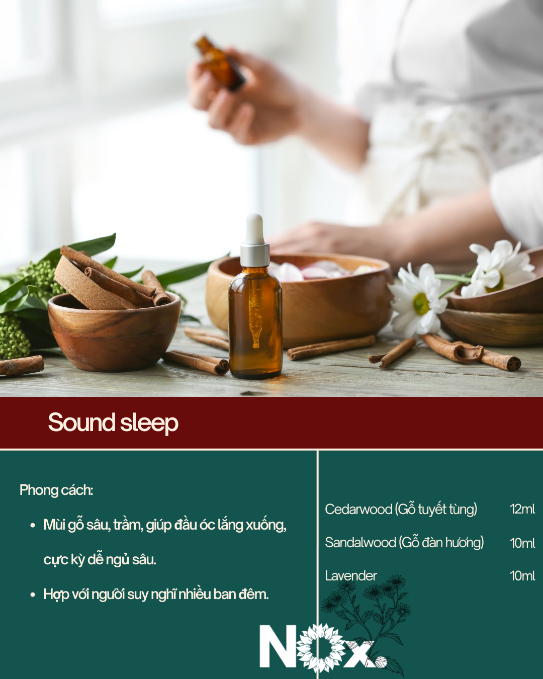 Lời Thì Thầm Từ Những Cánh Rừng Xa