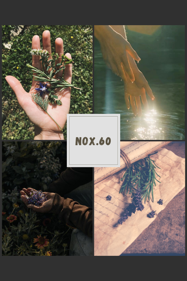 NOX.60 – Hương biển cả và gỗ của một lữ khách tự do
