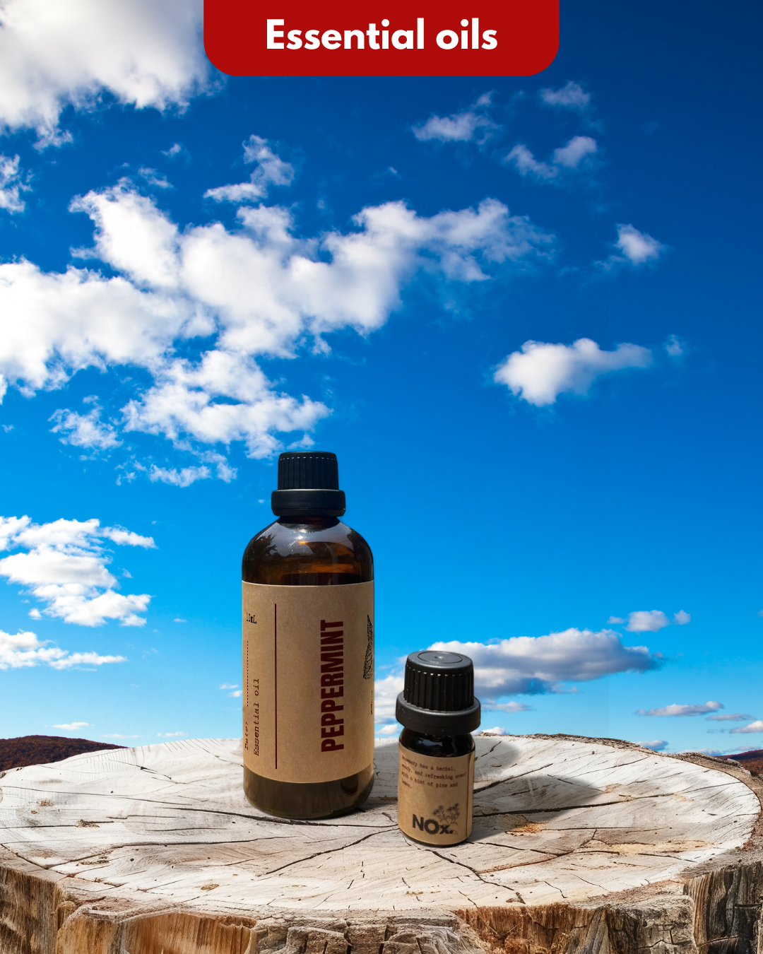 Tinh Dầu Bạc Hà – Sảng Khoái & Tỉnh Táo