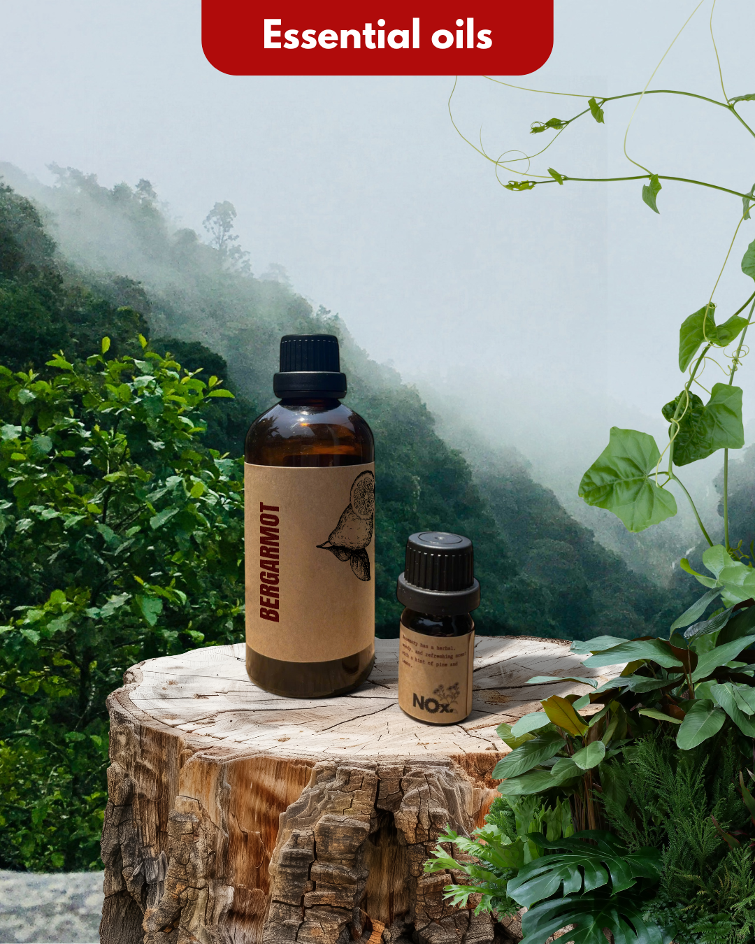 Tinh Dầu Cam Bergamot – Tươi Mát & Giảm Căng Thẳng