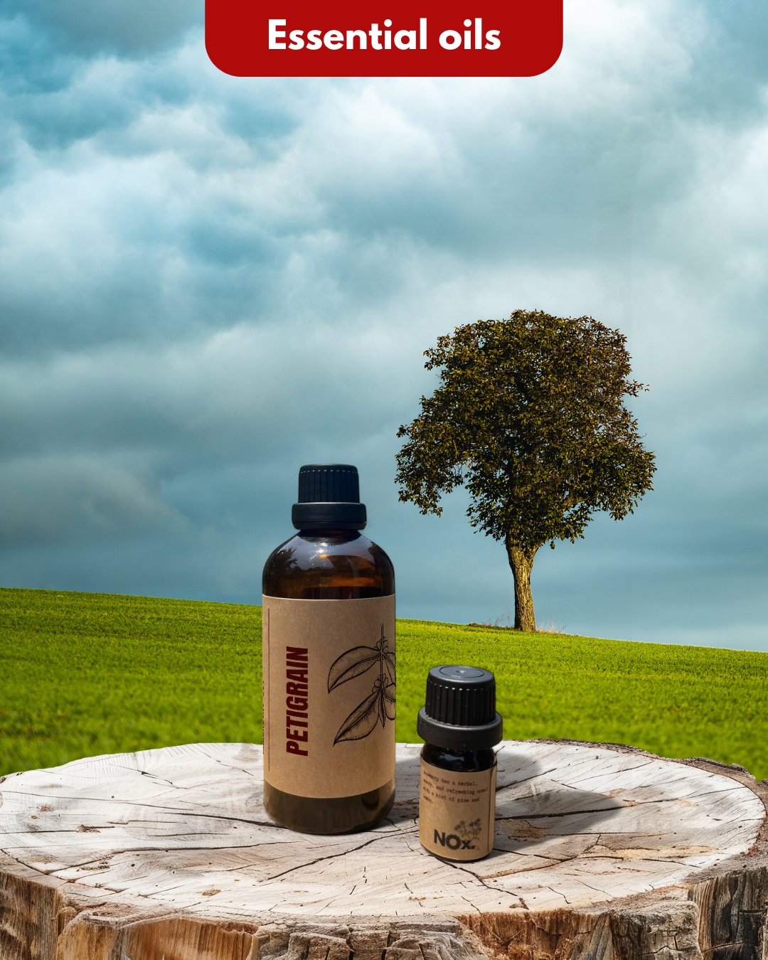 Tinh Dầu Lá Chanh – Tươi Mát & Thanh Lọc