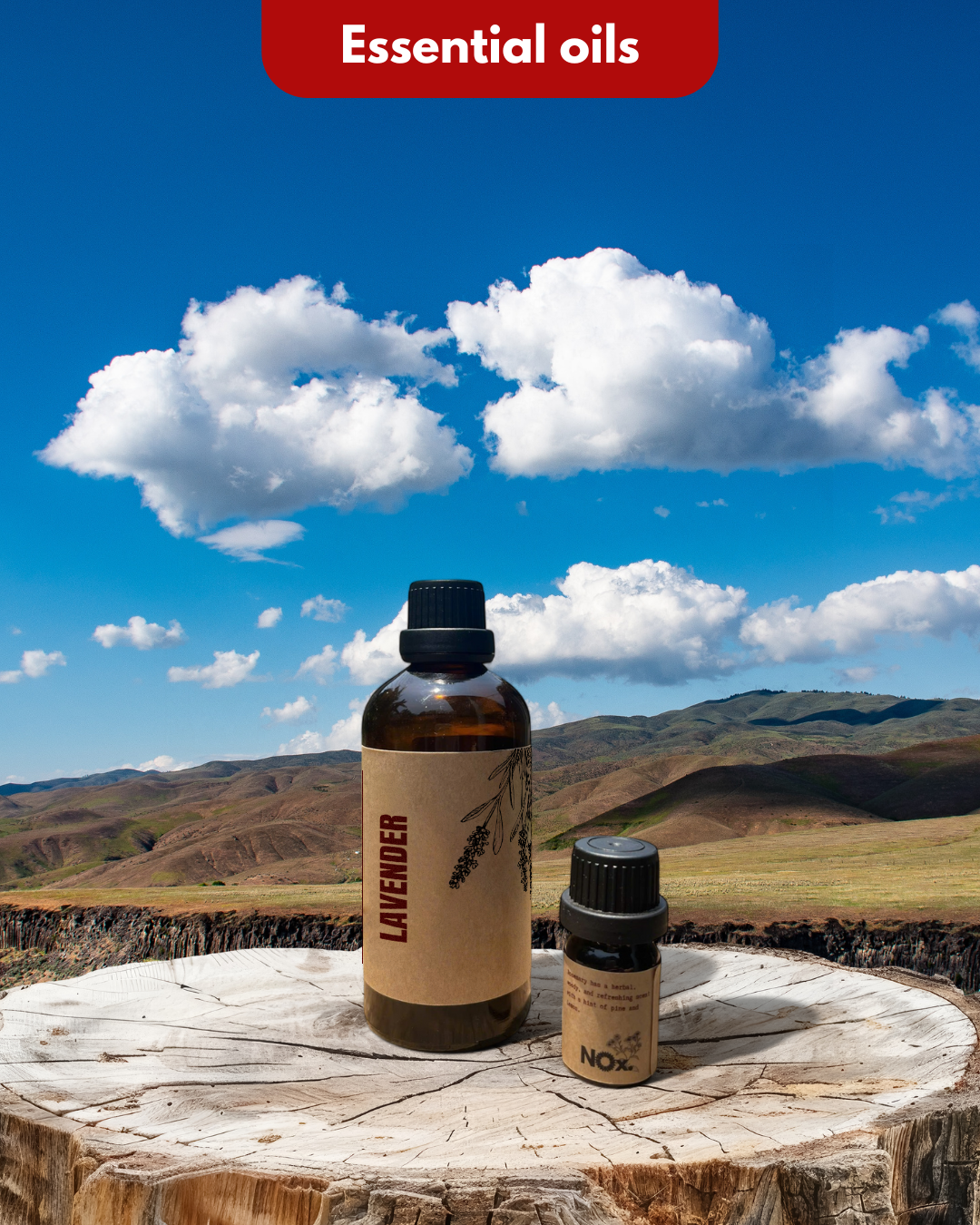 Tinh Dầu Lavender – Thư Giãn & An Lành