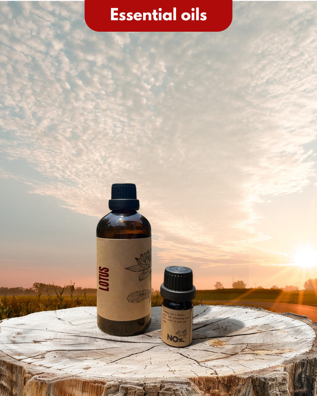 Lotus Essential Oil – Purity & Serenity