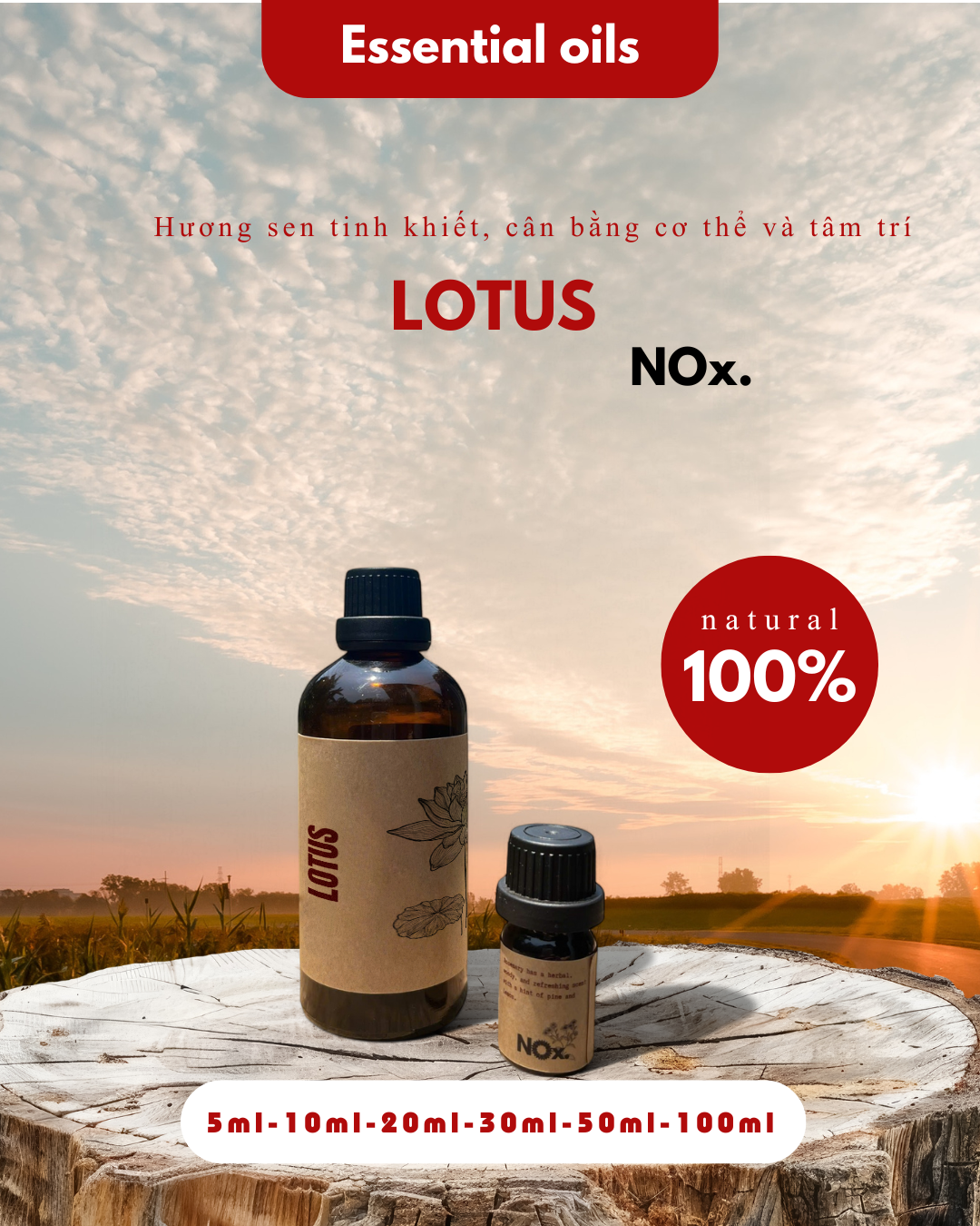 Lotus Essential Oil – Purity & Serenity