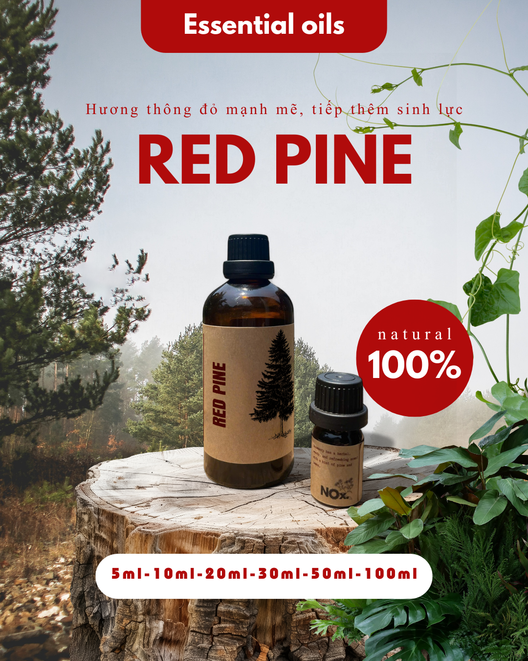 Pinewood Essential Oil