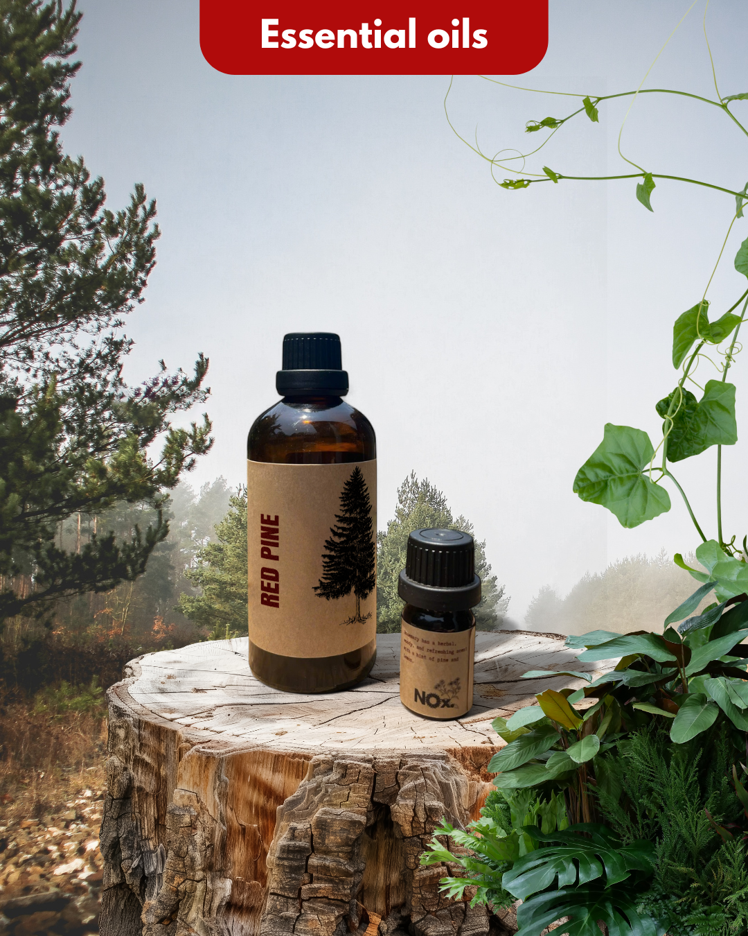 Pinewood Essential Oil