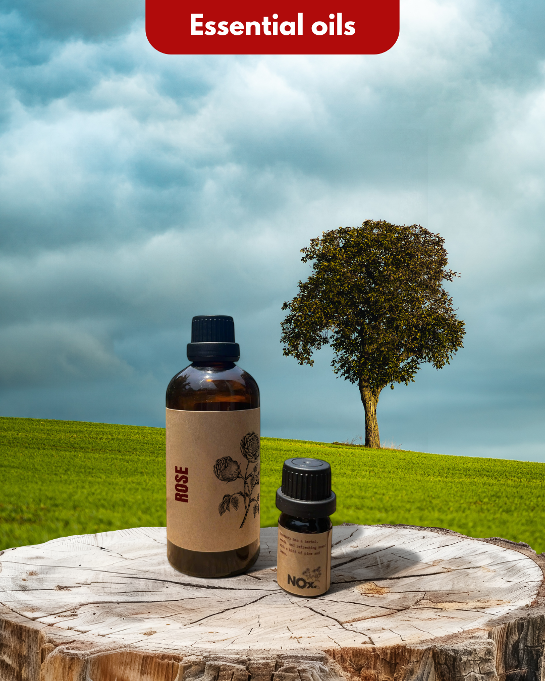 Tinh Dầu Hoa Hồng – Sự Kết Hợp Hoàn Hảo Giữa Vẻ Đẹp Và Tinh Túy Của Thiên Nhiên