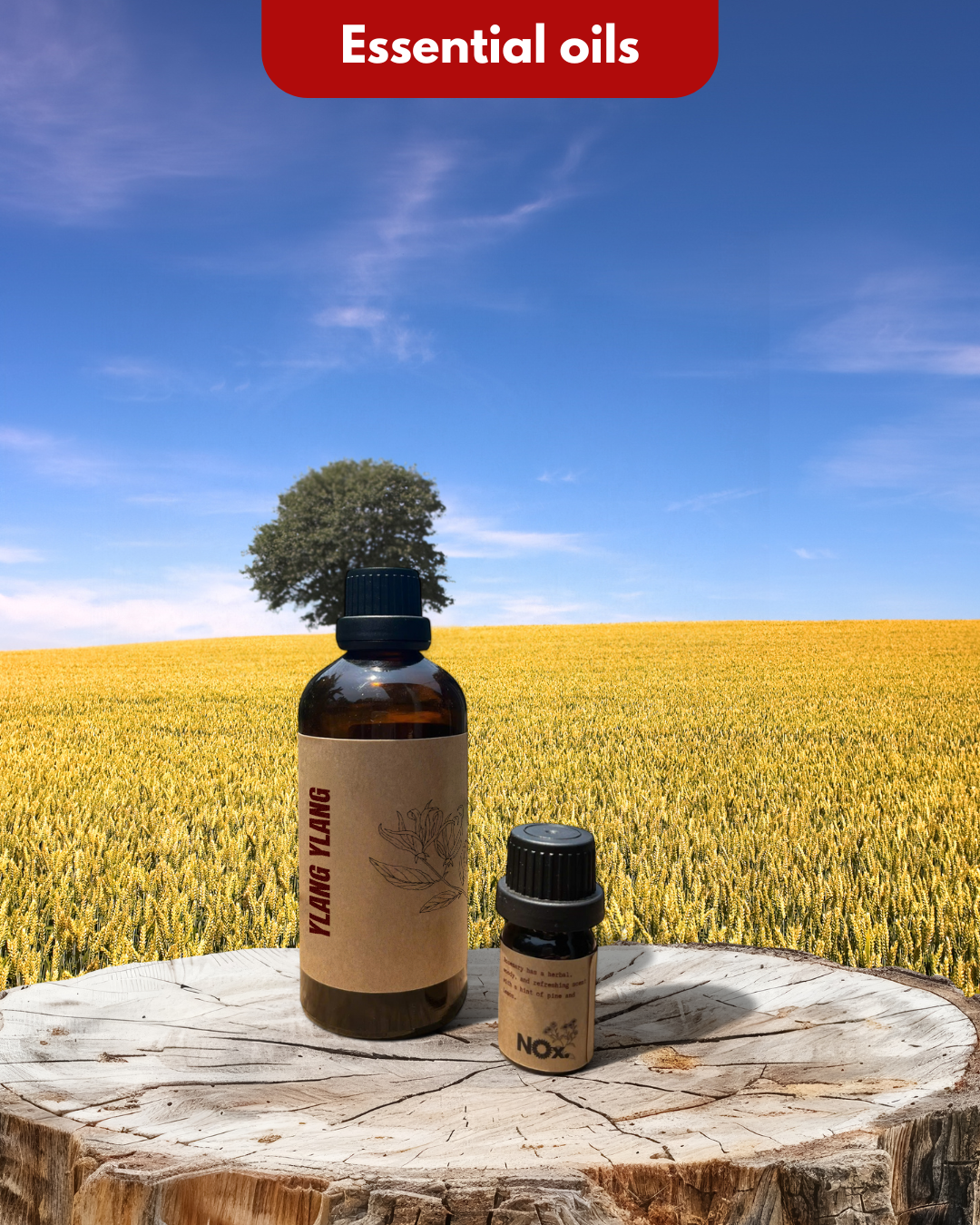 Ylang Ylang Essential Oil - Sensual & Relaxing