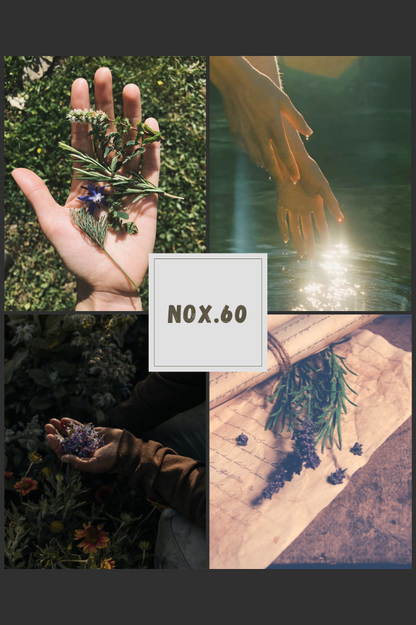 NOX.60 – Hương biển cả và gỗ của một lữ khách tự do