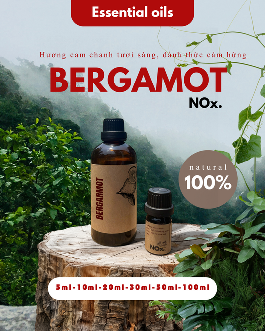 Tinh Dầu Bergamot – Tươi Mát & Giảm Căng Thẳng | Fresh & Stress-Relieving