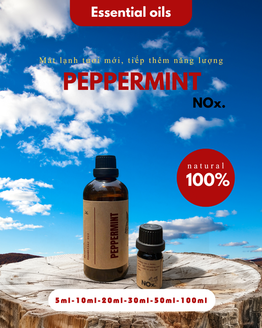 Tinh Dầu Bạc Hà – Sảng Khoái & Tỉnh Táo | Refresh & Energize