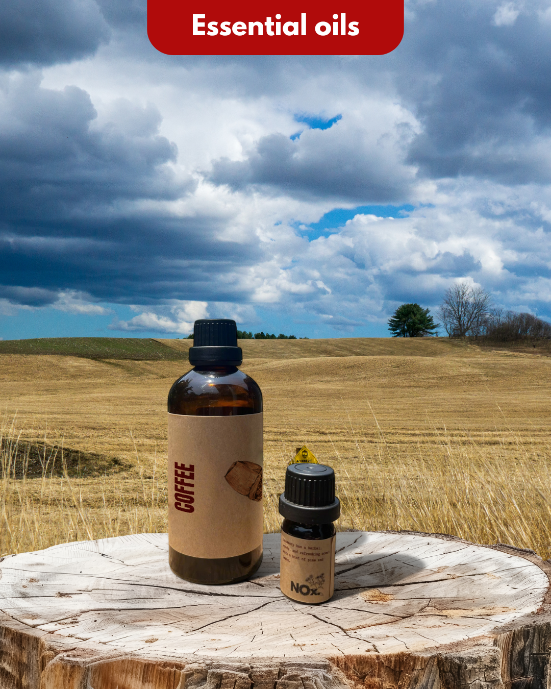 Coffee Essential Oil – Energy & Focus