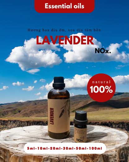 Tinh Dầu Lavender – Thư Giãn & An Lành | Relax & Calm