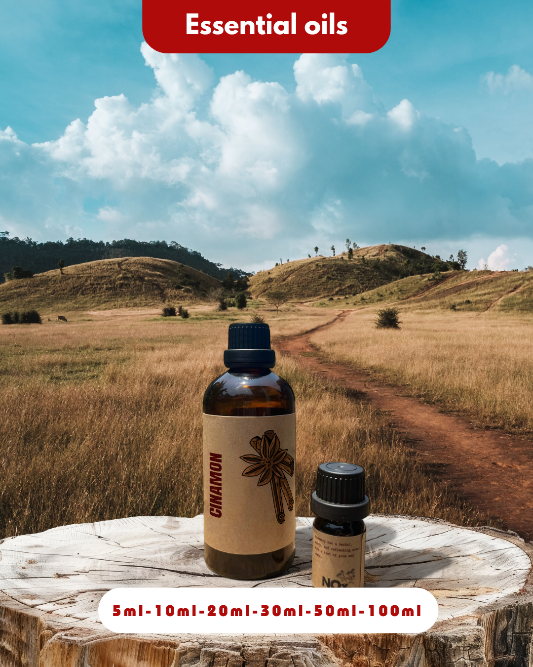 Cinnamon Essential Oil – Warmth & Antibacterial
