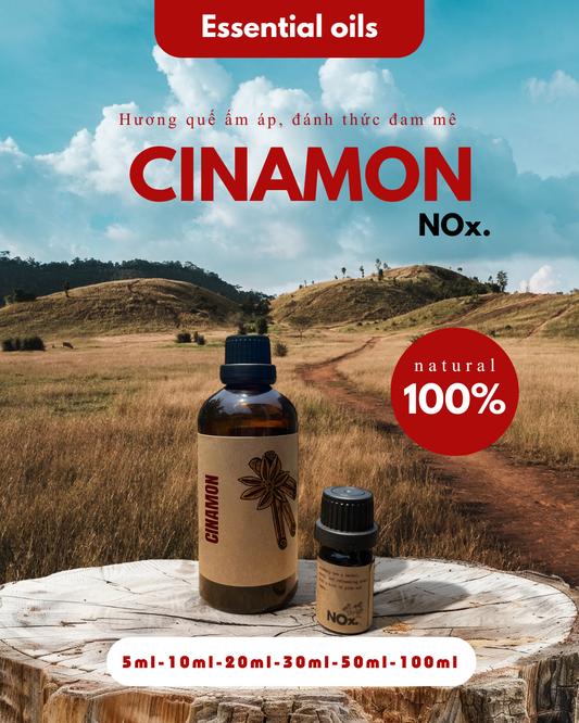 Tinh Dầu Quế – Ấm Áp & Kháng Khuẩn | Warmth & Antibacterial
