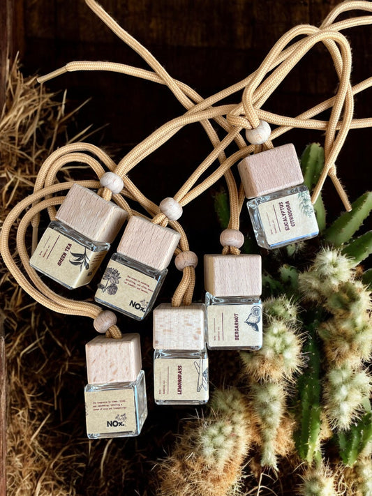 10ml Hanging Essential Oil Diffuser