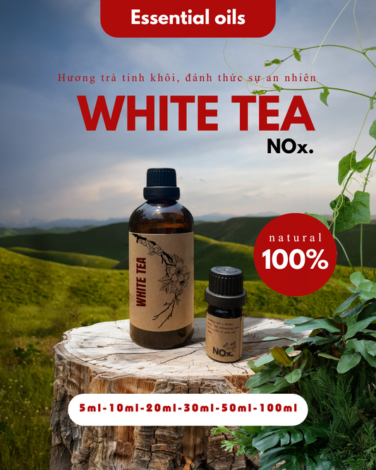 Tinh Dầu Trà Trắng - Thanh Khiết & Thư Giãn | Pure & Refreshing